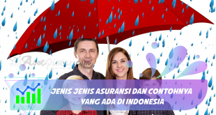 Jenis Jenis Asuransi dan Contohnya yang Ada di Indonesia