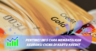 Penting! Ini 5 Cara Membatalkan Asuransi Cigna Di Kartu Kredit