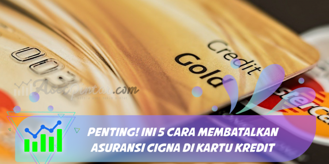 Penting! Ini 5 Cara Membatalkan Asuransi Cigna Di Kartu Kredit