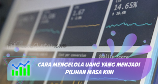 Cara Mengelola Uang yang Menjadi Pilihan Masa Kini