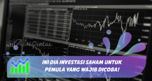 Ini Dia Investasi Saham Untuk Pemula Yang Wajib Dicoba!