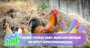 bisnis ternak yang menguntungkan