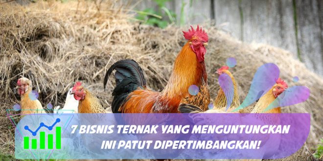 bisnis ternak yang menguntungkan