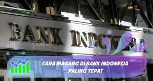 magang di bank indonesia