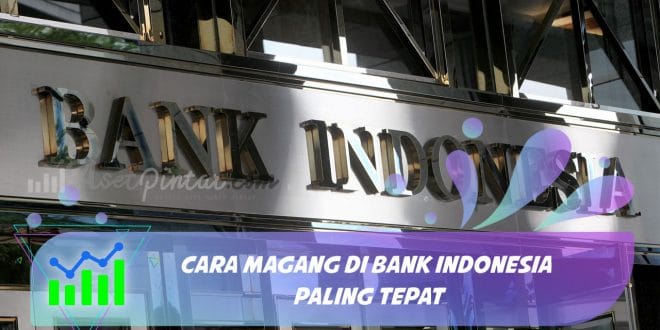 magang di bank indonesia