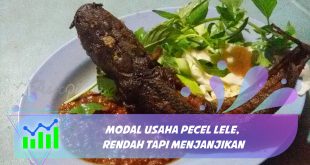 modal usaha pecel lele