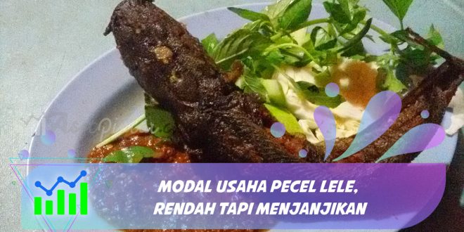 modal usaha pecel lele