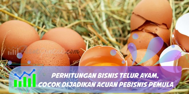 perhitungan bisnis telur ayam