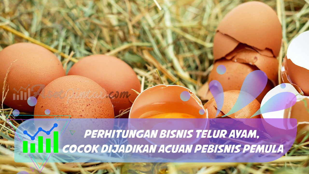 Perhitungan Bisnis Telur Ayam, Cocok Dijadikan Acuan untuk Pebisnis