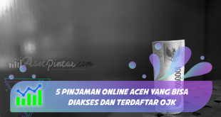 5 Pinjaman Online Aceh yang Bisa Diakses dan Terdaftar OJK