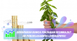 Bunga Pinjaman di LinkAja