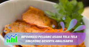 Usaha Tela Tela Singkong