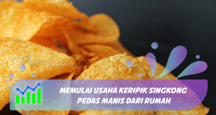 Usaha Keripik Singkong