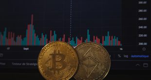 Pilih Crypto Atau Saham