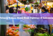 Peluang Sukses Bisnis Buah Ciplukan di Indonesia