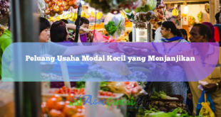 Peluang Usaha Modal Kecil yang Menjanjikan