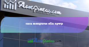 cara mengurus efin npwp