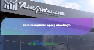 cara mengurus npwp surabaya