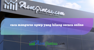 cara mengurus npwp yang hilang secara online